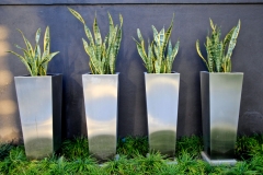 Container gardens